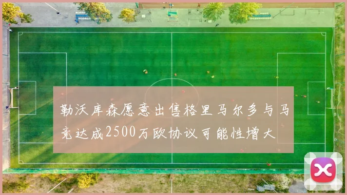 勒沃库森愿意出售格里马尔多与马竞达成2500万欧协议可能性增大